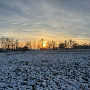 Erding