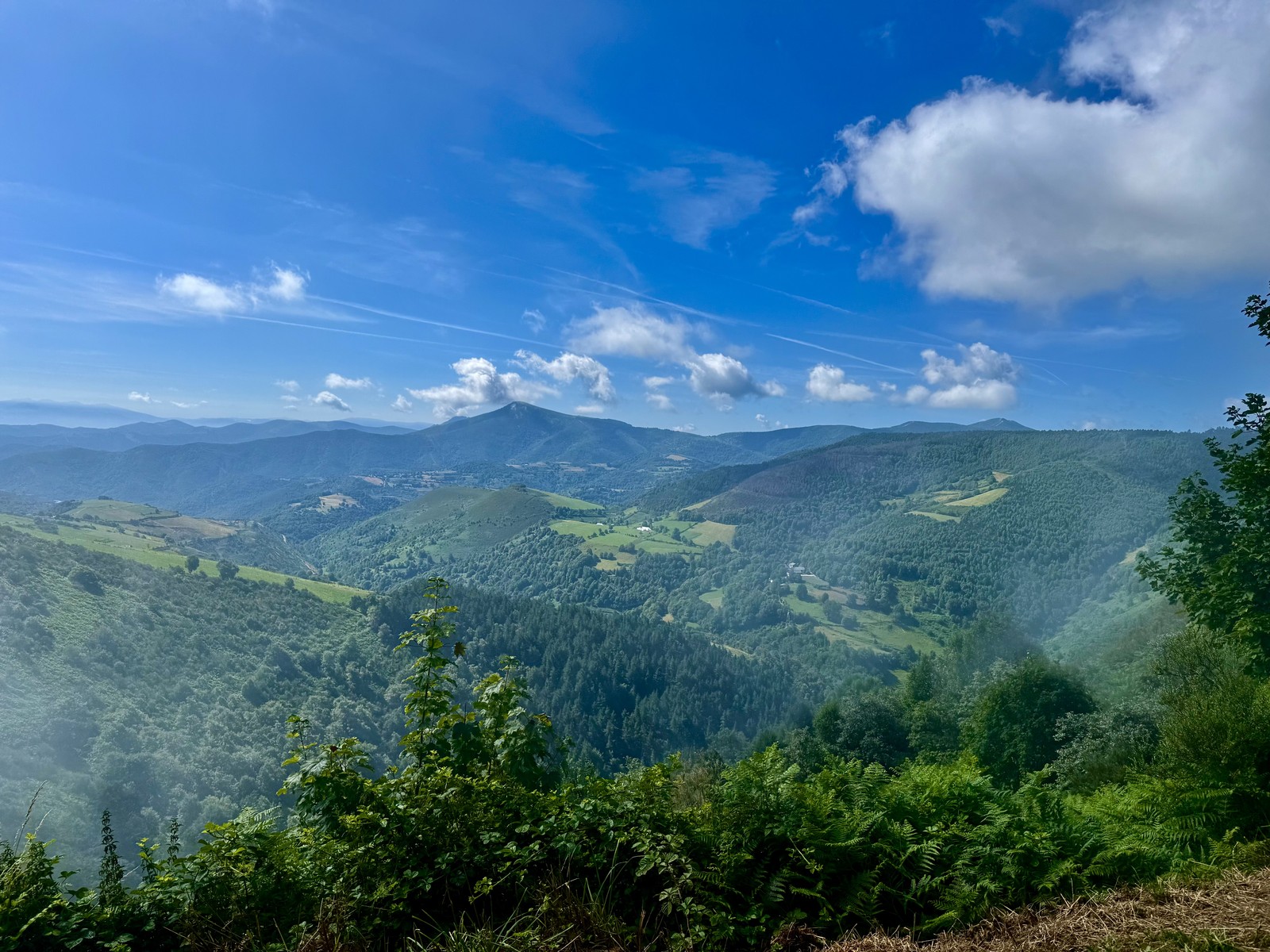 Cebreiro