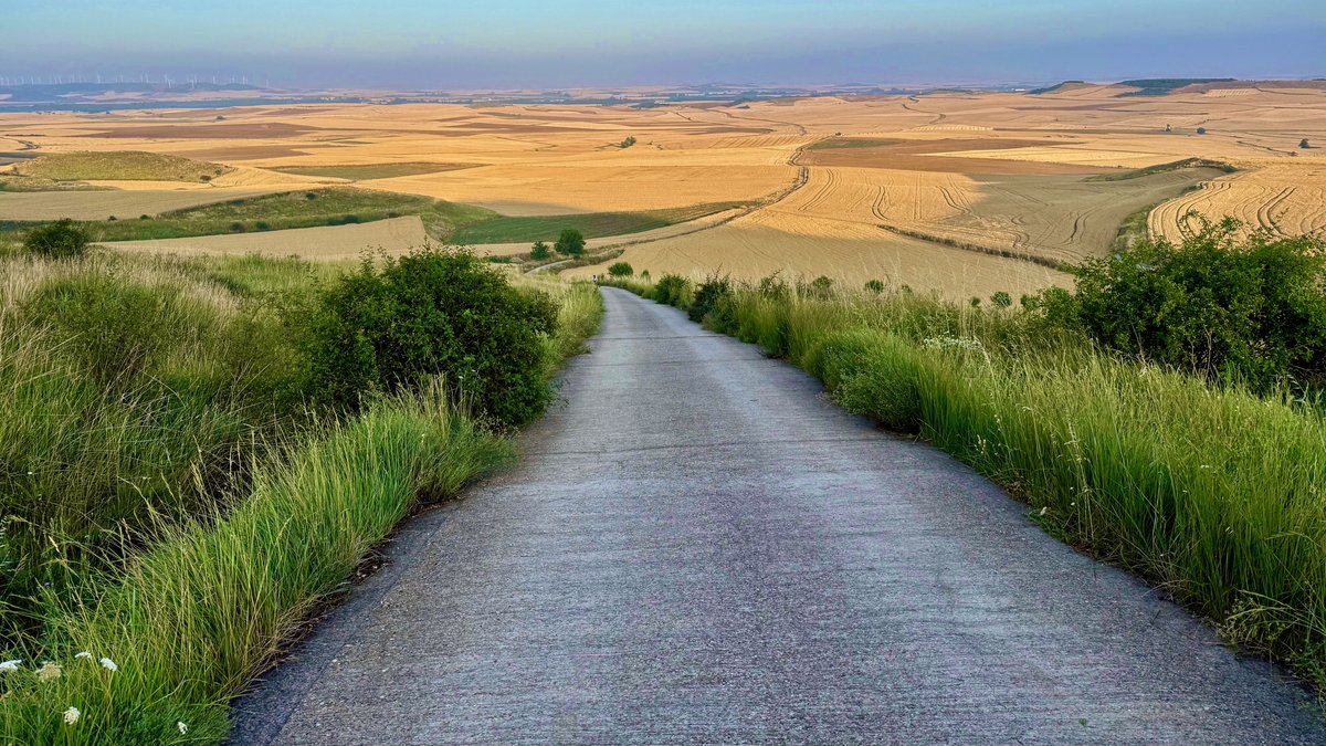 Das Bild zeigt einen schmalen, asphaltierten Weg, der durch grüne Büsche und hohes Gras hinabführt. Im Hintergrund erstreckt sich eine weite, goldgelbe Landschaft aus Feldern, die von der Sonne angestrahlt werden. Am Horizont sieht man sanfte Hügel, teils mit Windrädern besetzt, unter einem klaren blauen Himmel. Die Szene wirkt ruhig, weitläufig und sommerlich.