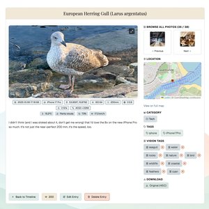 Old layout: smaller image, sidebar.