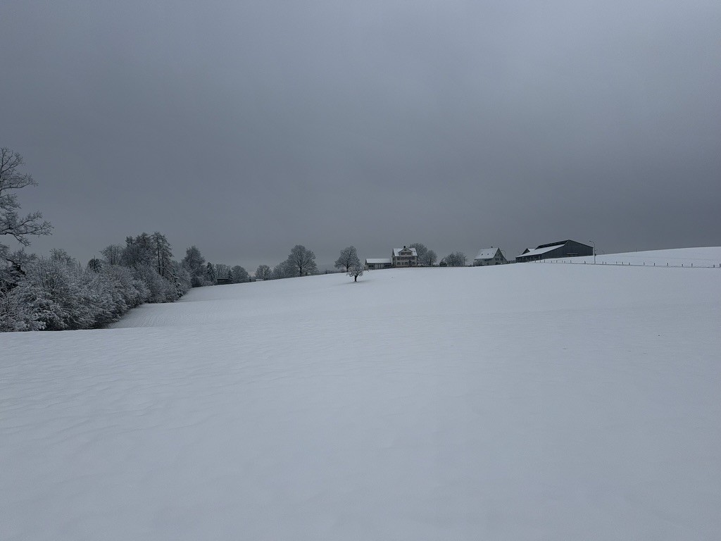 Schweizer Winter