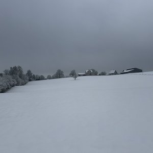 Schnee