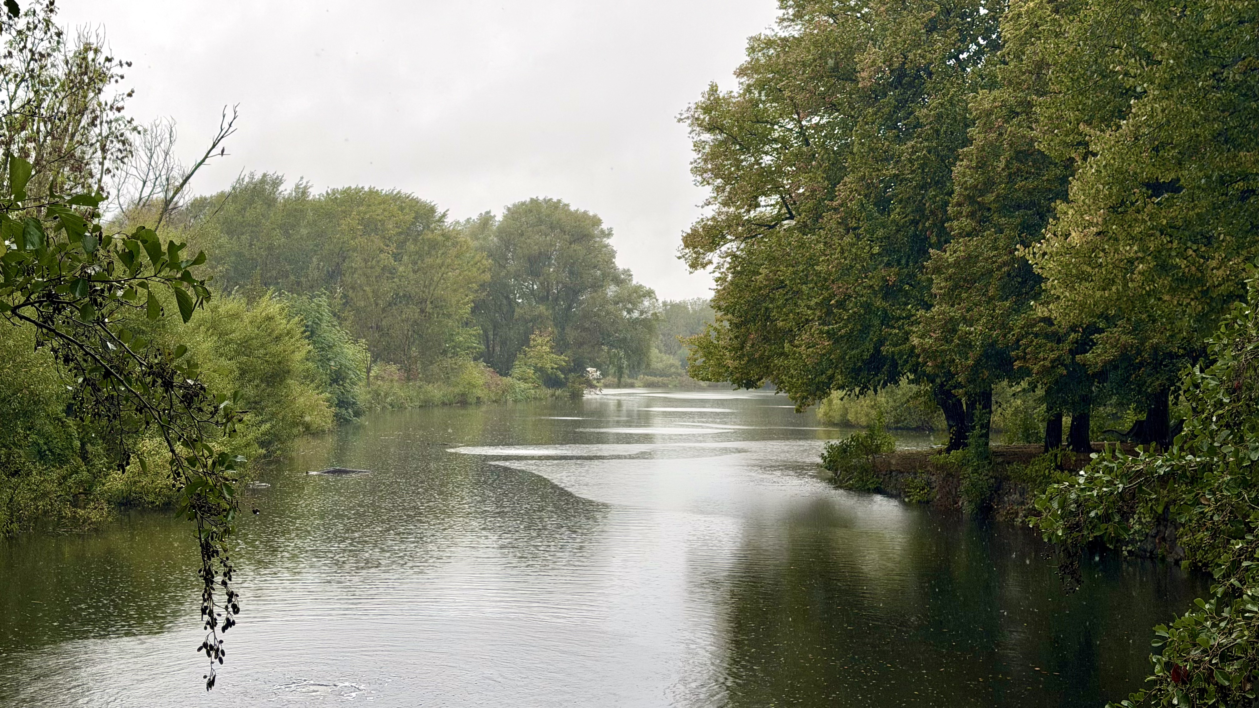 Rendsburger Stadtsee