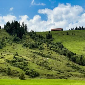 Near Einsideln on my way back to Lake Zurich.