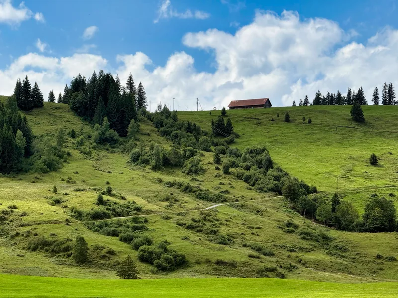 Near Einsideln on my way back to Lake Zurich.