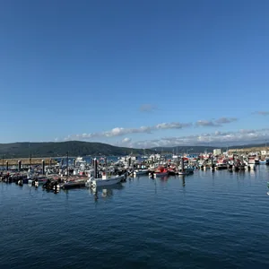 Finally at the Beach