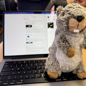 Mungga the Marmot sitting on my laptop on the way home, as the first incarnation of Hule was started on the train to Munich.