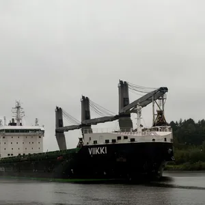 Das Bild zeigt ein großes Frachtschiff namens "Viikki", das sich auf einem Fluss oder einer Wasserstraße befindet. Das Schiff ist dunkelgrün und hat auffällige Kräne und Strukturen an Bord. Hinter dem Schiff ist eine bewaldete Umgebung zu sehen, die eine eher düstere und ruhige Stimmung vermittelt. Das Bild wirkt insgesamt industriell und funktional.