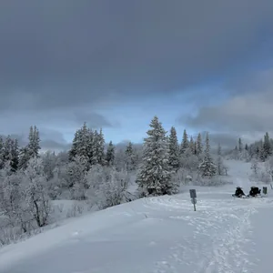 Riding a Snowscooter