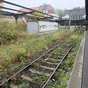 Das Bild zeigt eine Bahnstation oder Haltestelle mit verlassenen und verwilderten Gleisen. Der Bereich wirkt vernachlässigt, mit hohem Gras und Vegetation, die teilweise über die Gleise wuchert. An einer Wand ist ein Plakat mit einer Fischdarstellung angebracht. Die Umgebung vermittelt insgesamt einen etwas verlassenen und verwahrlosten Eindruck.