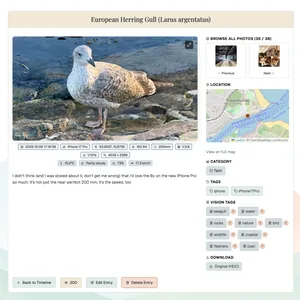 Old layout: smaller image, sidebar.