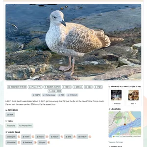 New layout: the image is wider, covering the card, with the layout restructured to keep navigation (map, next-prev, and download original) to the right, but tags, category, and vision tags (AI) underneath the image.
