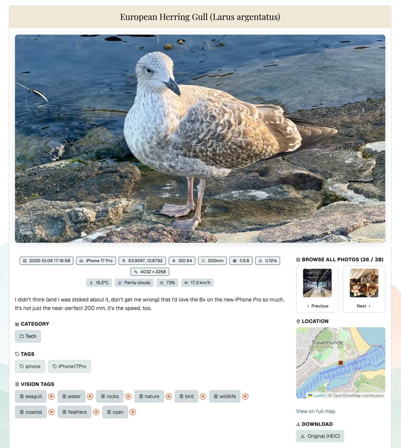 New layout: the image is wider, covering the card, with the layout restructured to keep navigation (map, next-prev, and download original) to the right, but tags, category, and vision tags (AI) underneath the image.