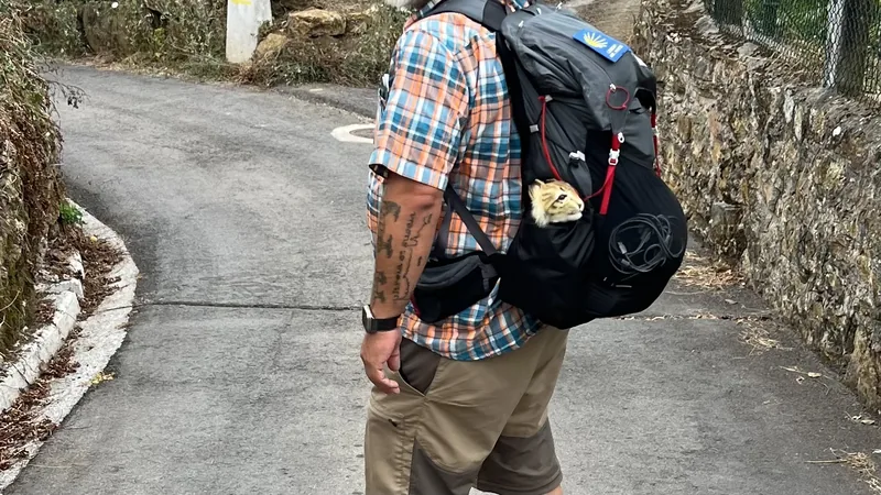 Das Bild zeigt einen Mann mit einem großen Rucksack auf dem Rücken, der einen gepflasterten Weg in einer naturnahen Umgebung entlanggeht. Der Mann trägt ein kariertes Hemd und Hosen in erdigen Farben. Der Rucksack hat eine rote Markierung und ein Luchs sitzt im Trinkfach. Die Umgebung wirkt ruhig und friedlich, mit Bäumen und Vegetation an den Seiten des Weges.