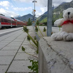 Das Bild zeigt einen Bahnhof mit einer roten Regionalbahn auf dem Gleis. Der Bahnsteig ist aus grauem Stein und auf dem Geländer sitzt ein weicher, weißer Teddybär mit einer roten Schleife. Um den Bahnsteig herum sind die Berge und Wälder einer bergigen Landschaft zu sehen. Die Landschaft und der Zug vermitteln eine ruhige, idyllische Stimmung.