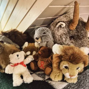 Das Bild zeigt eine Reihe von Plüschtieren, die in einem Korb oder einer Kiste auf einem hellen, mit Holzvertäfelung ausgekleideten Hintergrund platziert sind. Die Plüschtiere umfassen eine Auswahl an verschiedenen Tieren, darunter Bären, Hasen und weitere Fantasietiere mit Hörnern. Die Szene vermittelt einen gemütlichen, häuslichen Eindruck und lässt vermuten, dass es sich um einen Ort handelt, an dem Spielsachen oder Dekorationsgegenstände aufbewahrt werden.