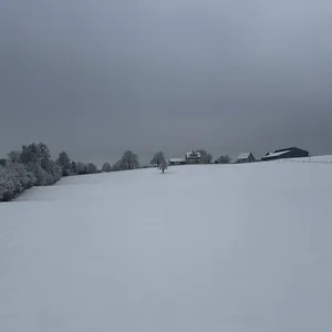 Schweizer Winter