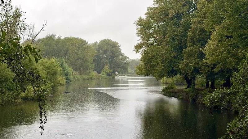 Das Bild zeigt eine ruhige, grüne Landschaft mit einem Fluss oder einem See in der Mitte. Die Ufer sind von dichten Baumbeständen umgeben, die sich in den klaren Gewässern spiegeln. Die Szene vermittelt eine friedliche und entspannende Atmosphäre, die von der Ruhe und Natürlichkeit des Ortes geprägt ist.
